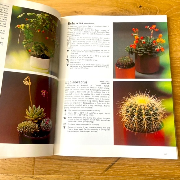 How to Grow Healthy House Plants Book - Picture 6 of 7